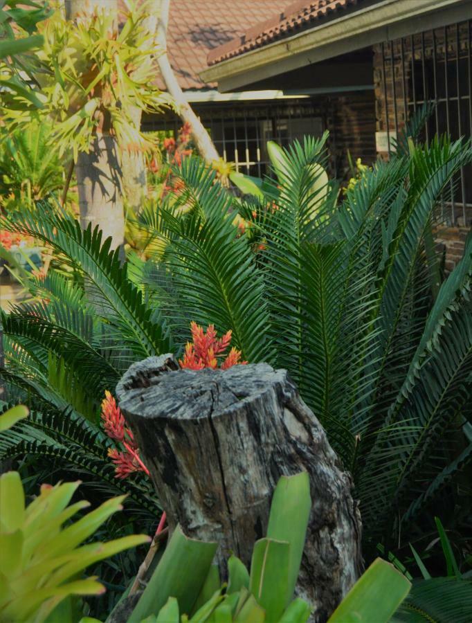 Buya Futhi Bed & Breakfast Saint Lucia Estuary Zewnętrze zdjęcie